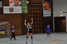 Ballroller Volleyball_101
